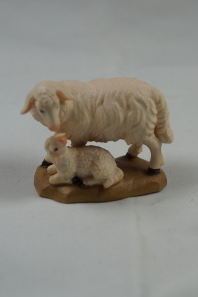Schaf mit Lamm color